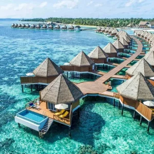 Maldives and Srilanka